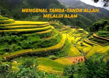 Khutbah ke-151, Mengenal Tanda-Tanda Kekuasaan Allah Melalui Alam