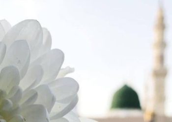 Mengapa kita Harus Mengikuti Nabi Muhammad SAW?