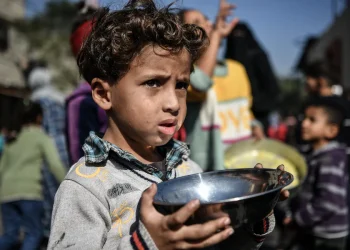 Pakar HAM Kecam Israel atas Blokade Bantuan ke Gaza: “Kelaparan Dijadikan Senjata”