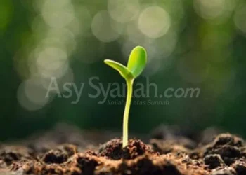 METODE ALQURAN DALAM MEMBUKTIKAN KEBANGKITAN (SETELAH MATI)